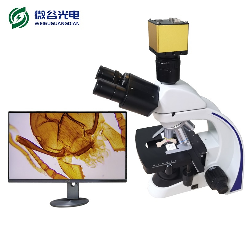 光學顯微鏡的成像原理的介紹